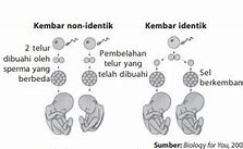 Kembar Kembar Kembar 1